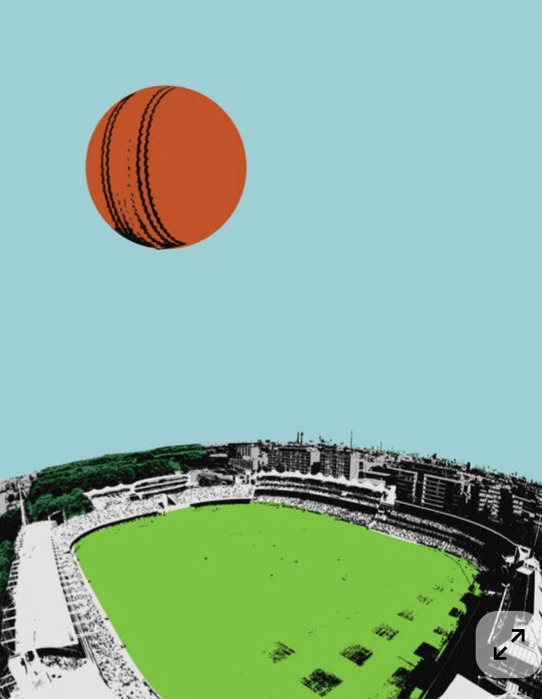 Vintage cricket stadium illustration